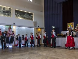 Bundestreffen der Sathmarer Schwaben in Nürnberg, 15. Juni 2024